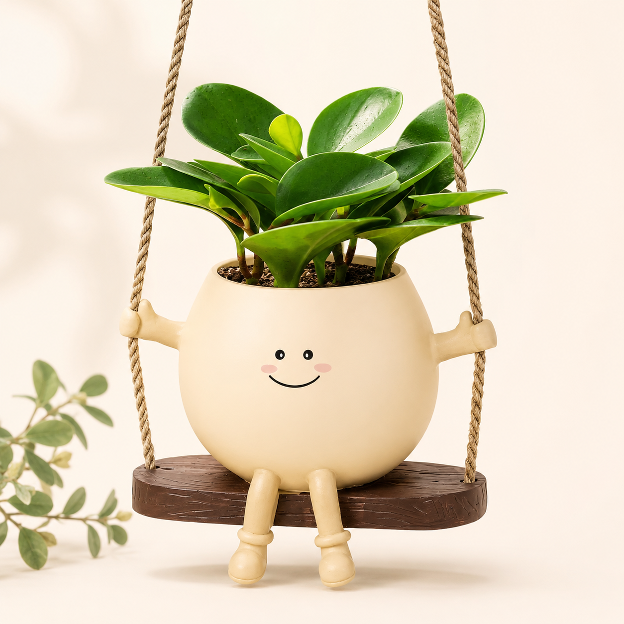 Swinging Planter